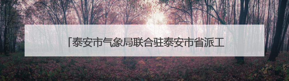 泰安市气象局联合驻泰安市省派工作队开展气象为农服务专题调研