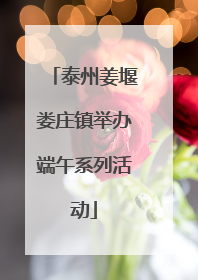泰州姜堰娄庄镇举办端午系列活动