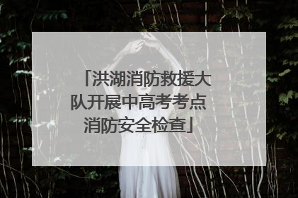洪湖消防救援大队开展中高考考点消防安全检查