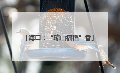 海口：“琼山福稻”香