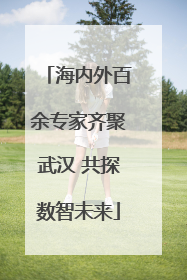 海内外百余专家齐聚武汉 共探数智未来