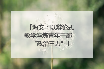 海安：以辩论式教学淬炼青年干部“政治三力”
