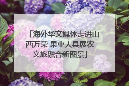 海外华文媒体走进山西万荣 果业大县展农文旅融合新图景