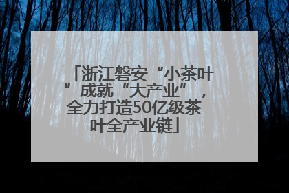 浙江磐安“小茶叶”成就“大产业”，全力打造50亿级茶叶全产业链