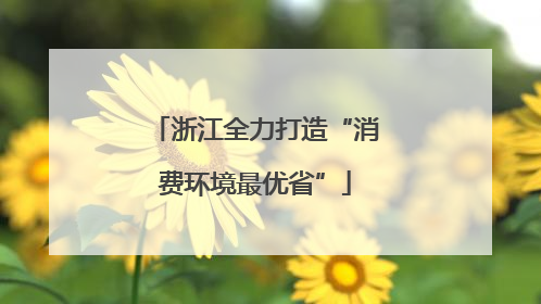 浙江全力打造“消费环境最优省”