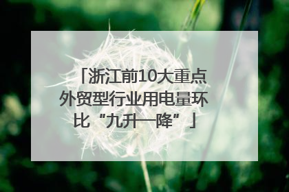 浙江前10大重点外贸型行业用电量环比“九升一降”