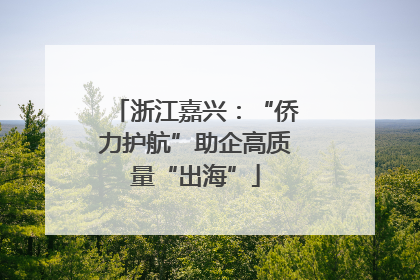 浙江嘉兴：“侨力护航”助企高质量“出海”
