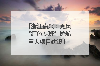 浙江嘉兴：党员“红色专班”护航重大项目建设