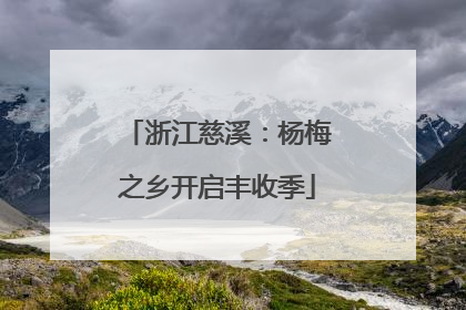 浙江慈溪：杨梅之乡开启丰收季