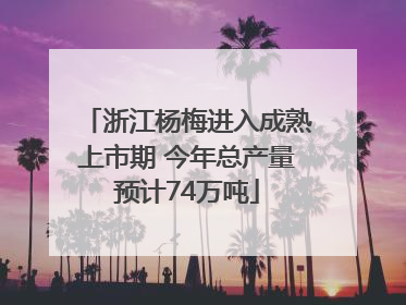 浙江杨梅进入成熟上市期 今年总产量预计74万吨
