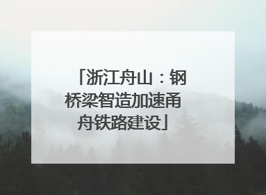 浙江舟山：钢桥梁智造加速甬舟铁路建设