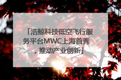 浩鲸科技低空飞行服务平台MWC上海首秀，推动产业创新