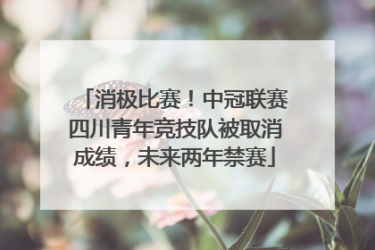 消极比赛！中冠联赛四川青年竞技队被取消成绩，未来两年禁赛