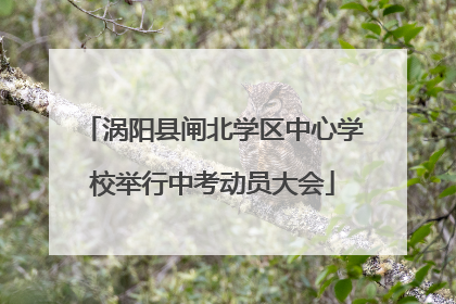 涡阳县闸北学区中心学校举行中考动员大会