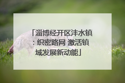 淄博经开区沣水镇：织密路网 激活镇域发展新动能