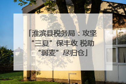 淮滨县税务局：攻坚“三夏”保丰收 税助“弱麦”尽归仓