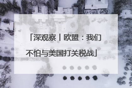 深观察丨欧盟：我们不怕与美国打关税战