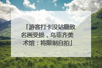 游客打卡没站稳致名画受损，乌菲齐美术馆：将限制自拍