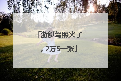 游艇驾照火了，2万5一张