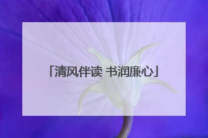 清风伴读 书润廉心