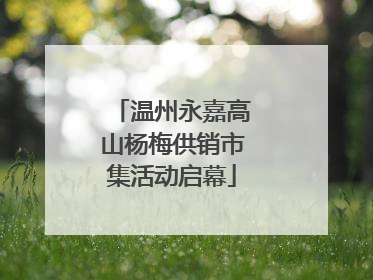 温州永嘉高山杨梅供销市集活动启幕