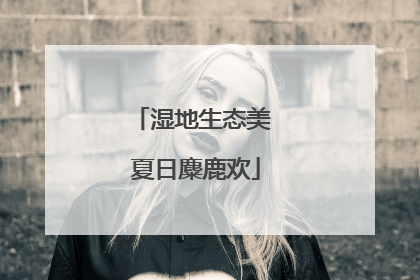湿地生态美 夏日麋鹿欢