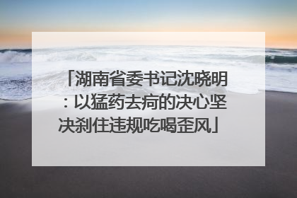 湖南省委书记沈晓明：以猛药去疴的决心坚决刹住违规吃喝歪风
