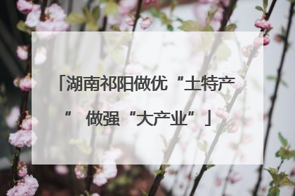 湖南祁阳做优“土特产” 做强“大产业”