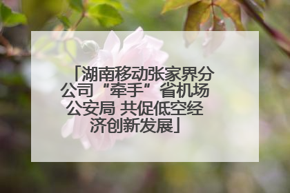 湖南移动张家界分公司“牵手”省机场公安局 共促低空经济创新发展