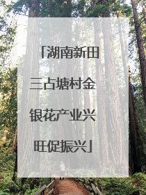 湖南新田三占塘村金银花产业兴旺促振兴