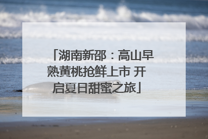 湖南新邵：高山早熟黄桃抢鲜上市 开启夏日甜蜜之旅