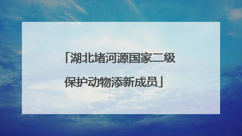湖北堵河源国家二级保护动物添新成员