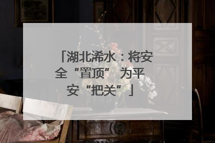 湖北浠水：将安全“置顶” 为平安“把关”