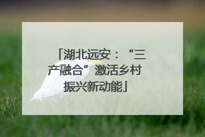 湖北远安：“三产融合”激活乡村振兴新动能