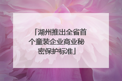 湖州推出全省首个童装企业商业秘密保护标准