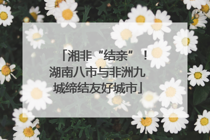 湘非“结亲”！湖南八市与非洲九城缔结友好城市