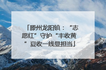 滕州龙阳镇：“志愿红”守护“丰收黄”夏收一线显担当