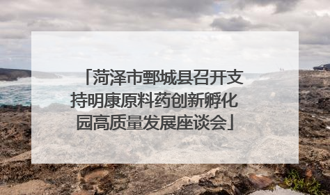 菏泽市鄄城县召开支持明康原料药创新孵化园高质量发展座谈会