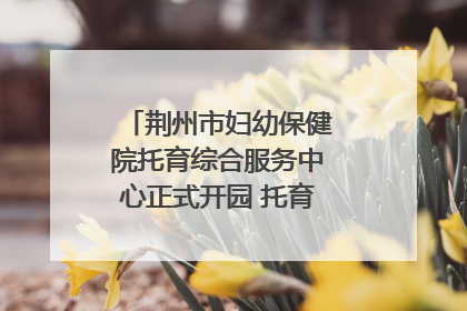 荆州市妇幼保健院托育综合服务中心正式开园 托育宣传月同步启动