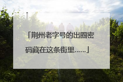 荆州老字号的出圈密码藏在这条街里……