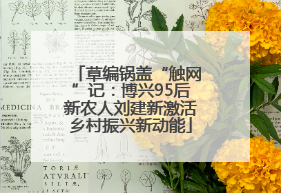 草编锅盖“触网”记：博兴95后新农人刘建新激活乡村振兴新动能