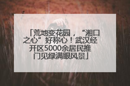 荒地变花园，“湘口之心”好称心！武汉经开区5000余居民推门见绿满眼风景