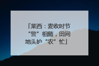 莱西：麦收时节“警”相随，田间地头护“农”忙