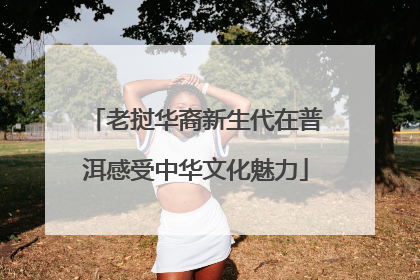 老挝华裔新生代在普洱感受中华文化魅力
