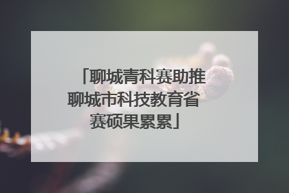 聊城青科赛助推聊城市科技教育省赛硕果累累