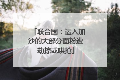 联合国：运入加沙的大部分面粉遭劫掠或哄抢