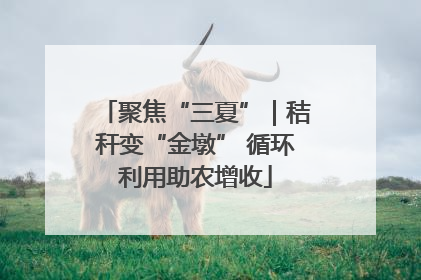 聚焦“三夏”｜秸秆变“金墩” 循环利用助农增收