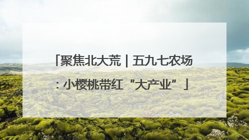 聚焦北大荒｜五九七农场：小樱桃带红“大产业”