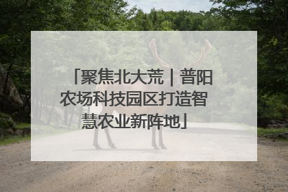 聚焦北大荒｜普阳农场科技园区打造智慧农业新阵地