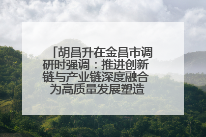 胡昌升在金昌市调研时强调：推进创新链与产业链深度融合 为高质量发展塑造新动能新优势